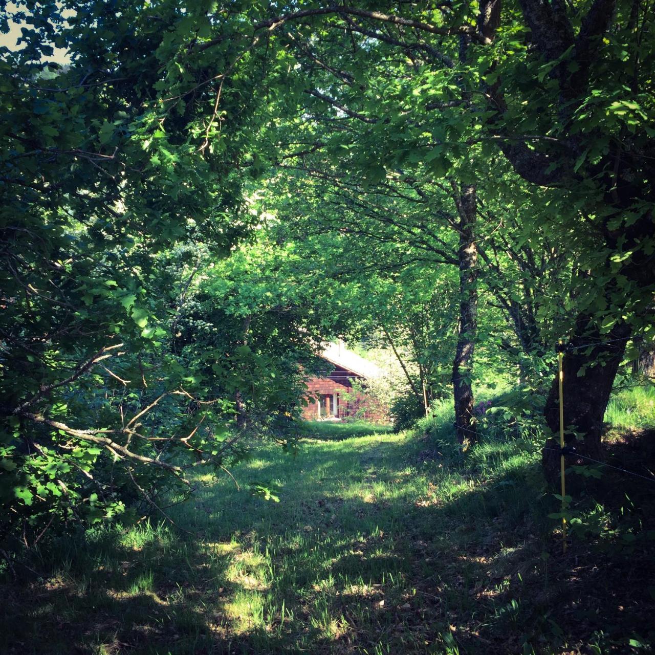 Silver Trees - Glamping Fresse-sur-Moselle Buitenkant foto